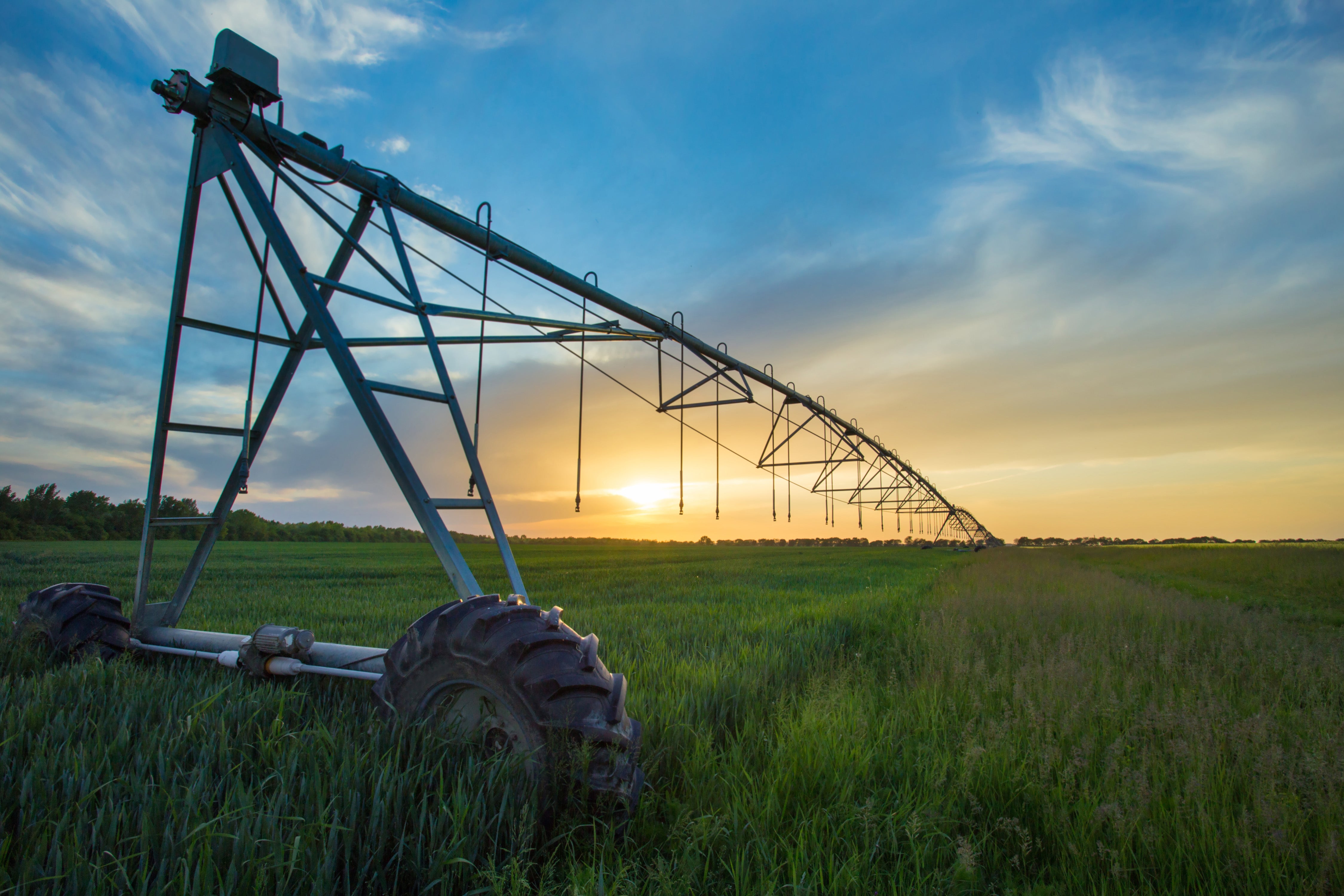 Irrigation Pivot in a wheat field